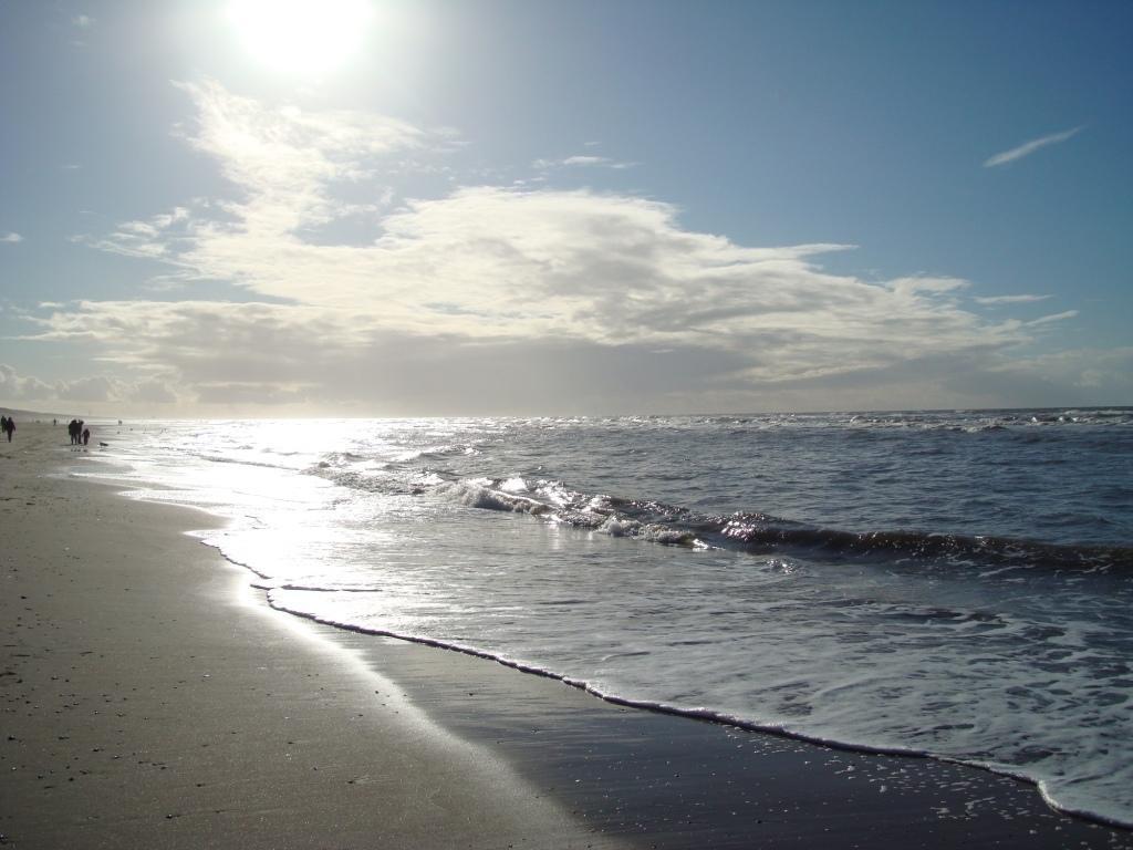 De Duintop Appartamento Zandvoort Esterno foto